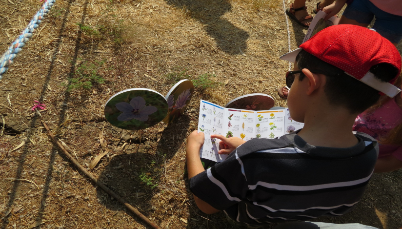 פקחים צעירים בירקון - אייל מטרני , לגדול